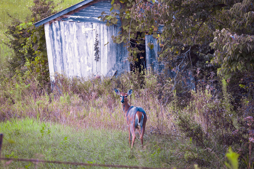 Full Year 2023 183 Photography Art | Photos By Regan