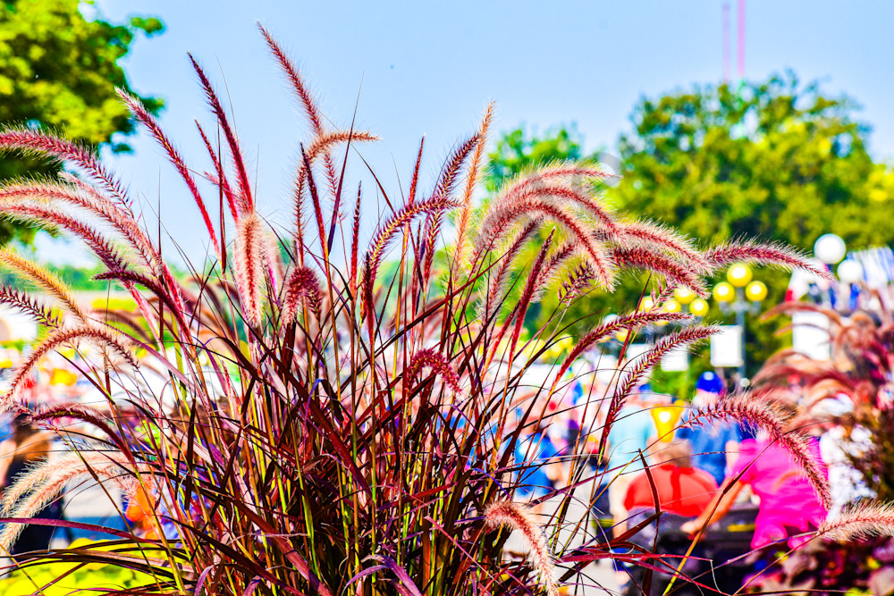 Full Year 2023 215 Photography Art | Photos By Regan