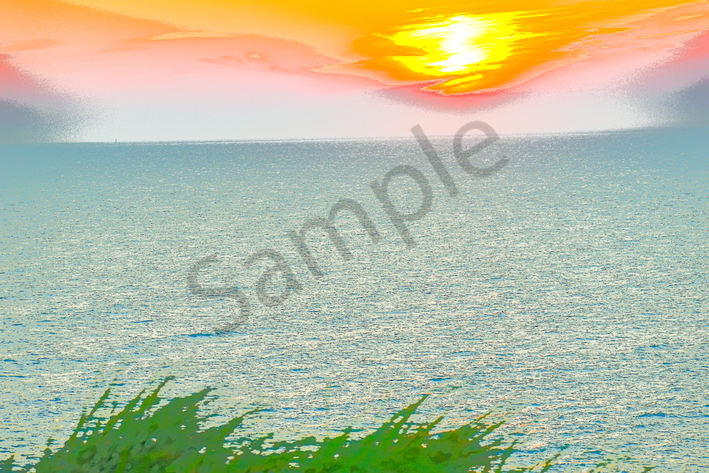 Full Year 2023 253 Photography Art | Photos By Regan