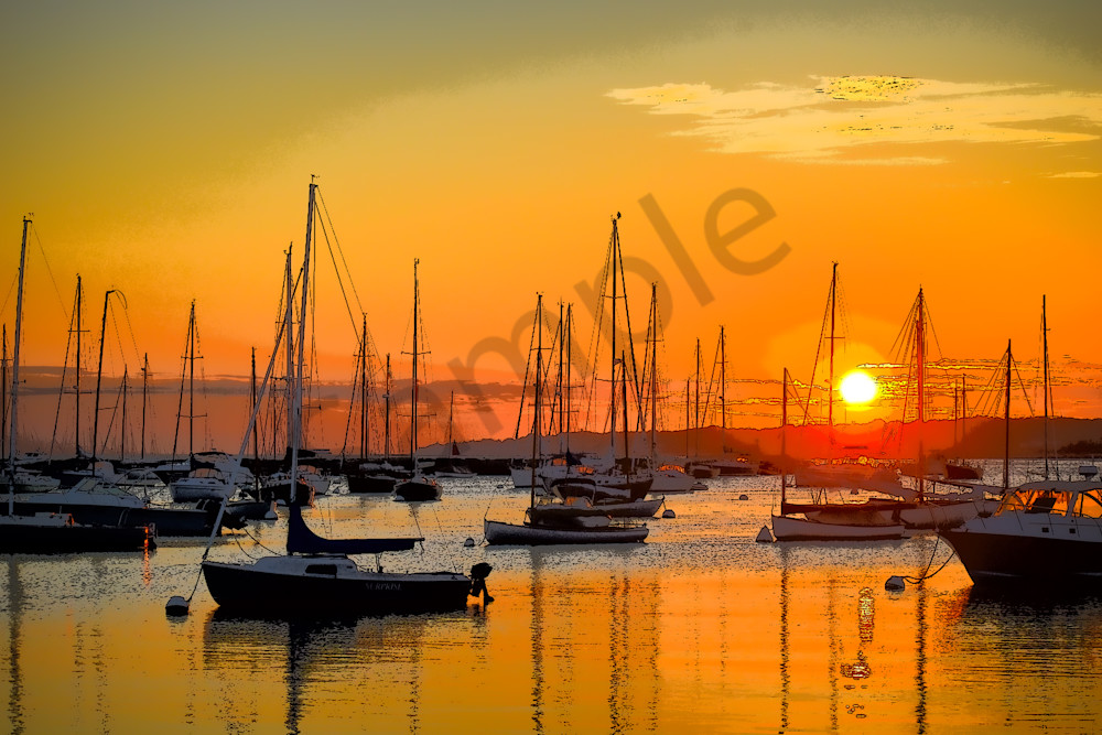 Full Year 2023 304 Photography Art | Photos By Regan