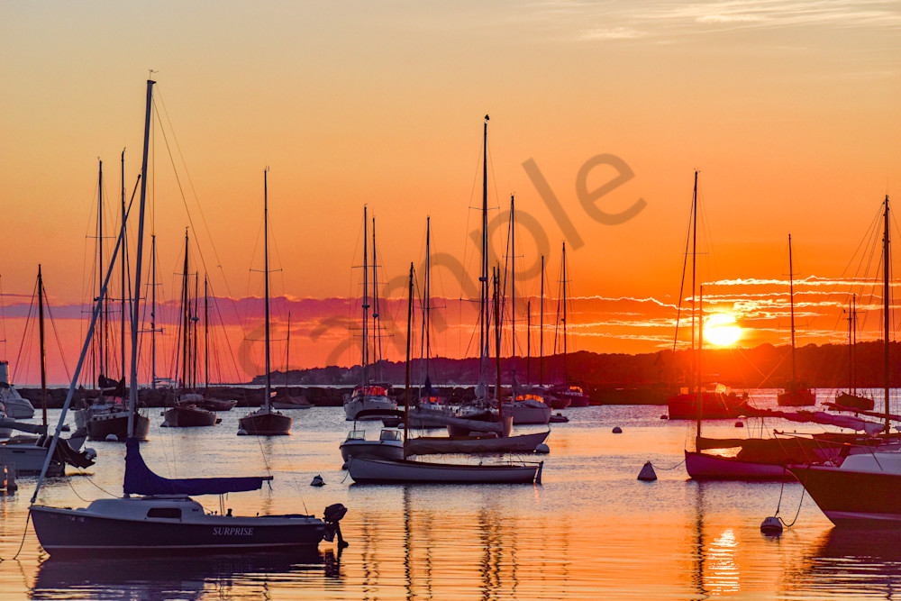 Full Year 2023 320 Photography Art | Photos By Regan