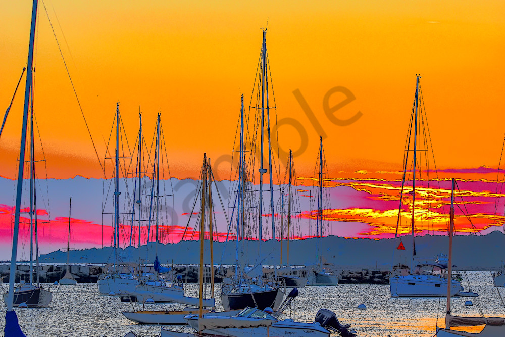 Full Year 2023 357 Photography Art | Photos By Regan