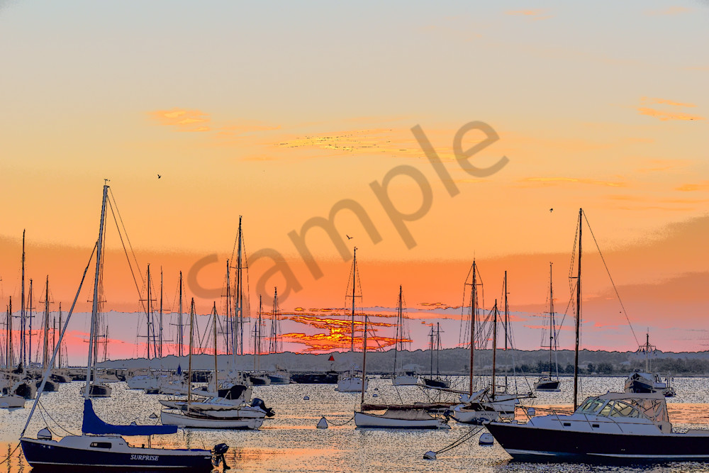 Full Year 2023 359 Photography Art | Photos By Regan