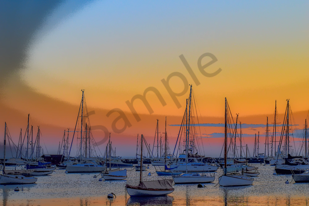 Full Year 2023 374 Photography Art | Photos By Regan