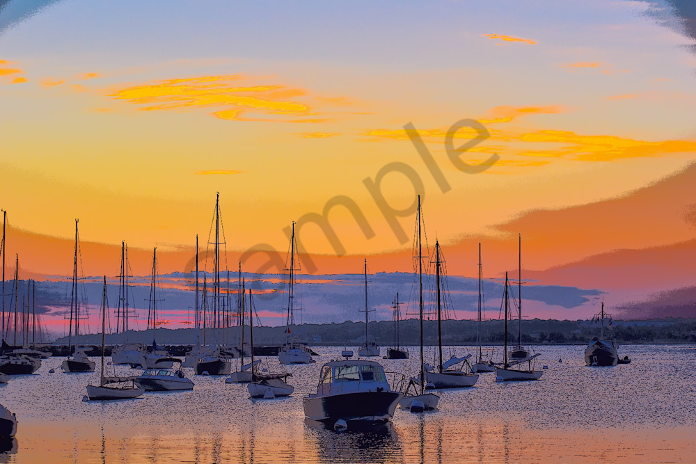 Full Year 2023 378 Photography Art | Photos By Regan