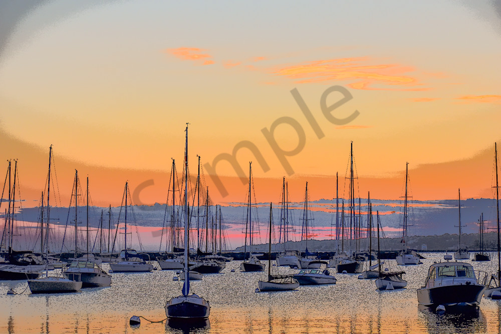 Full Year 2023 377 Photography Art | Photos By Regan