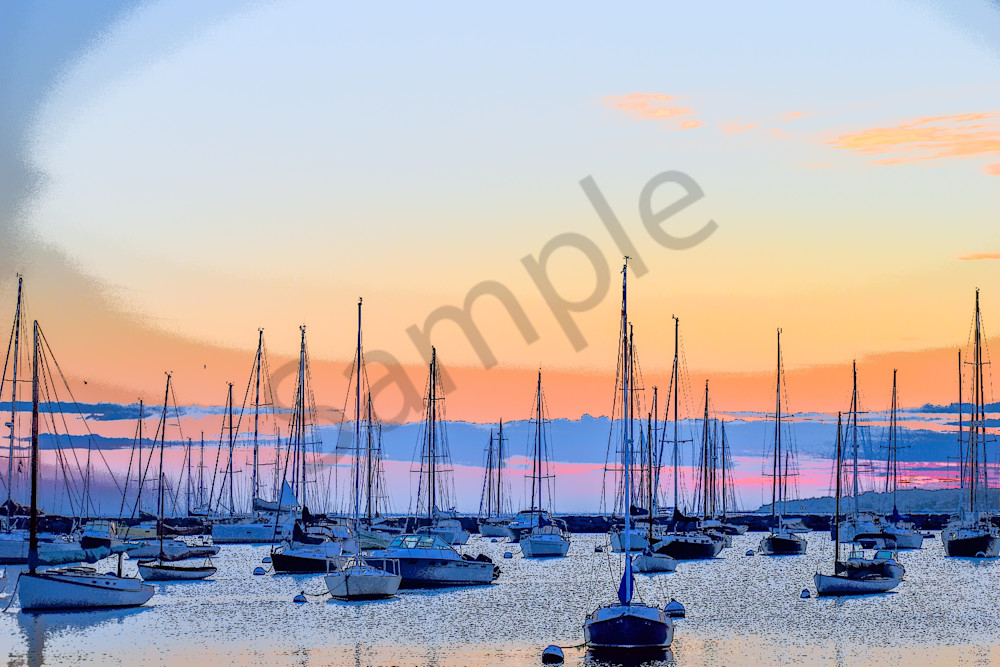 Full Year 2023 382 Photography Art | Photos By Regan