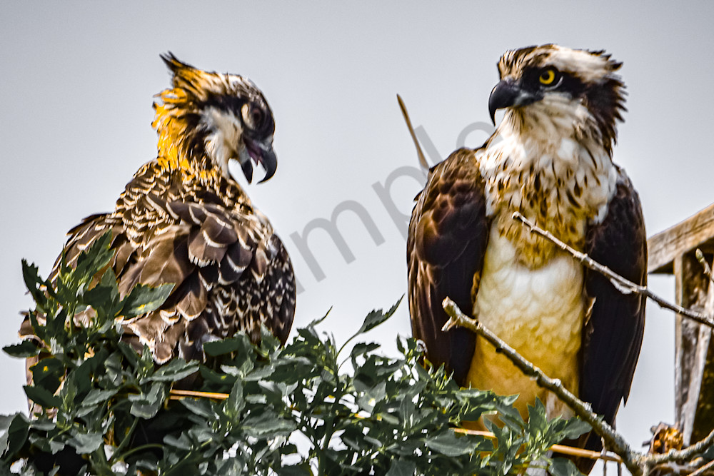 Full Year 2023 520 Photography Art | Photos By Regan