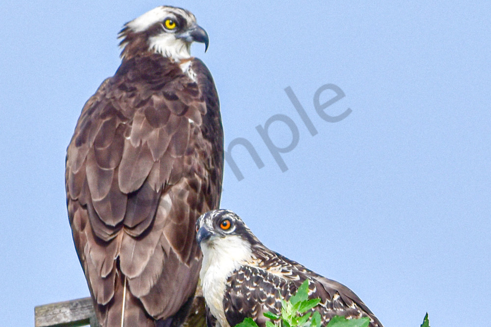 Full Year 2023 532 Photography Art | Photos By Regan