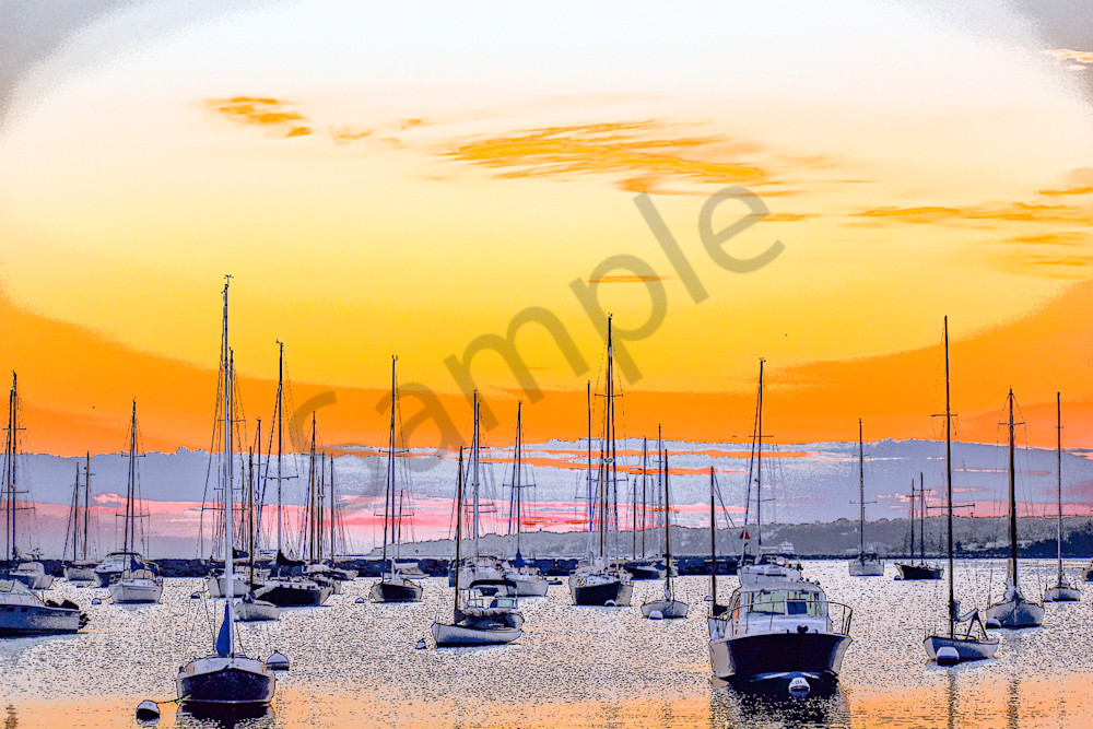 The Harbor - Vineyard Haven