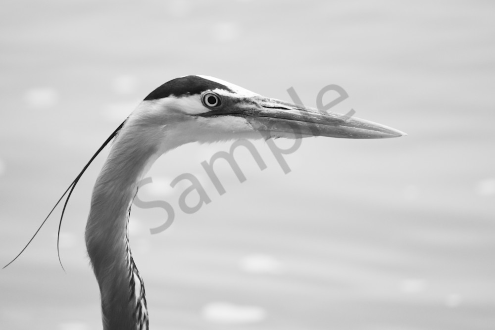 Full Year 2023 799 Photography Art | Photos By Regan