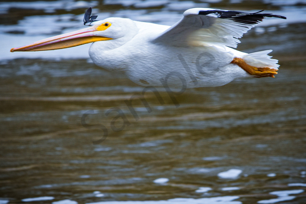 Full Year 2023 1104 Photography Art | Photos By Regan