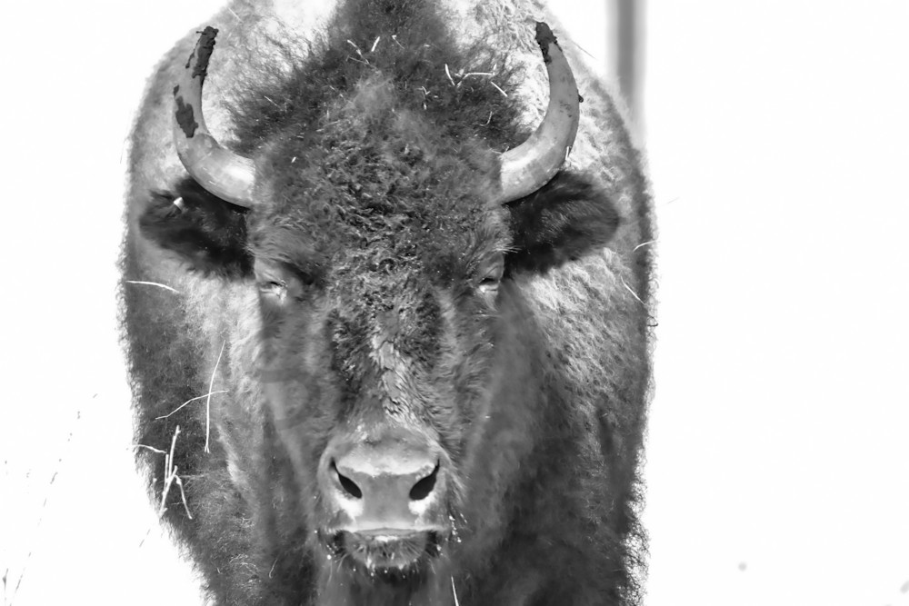 Full Year 2023 1287 Photography Art | Photos By Regan