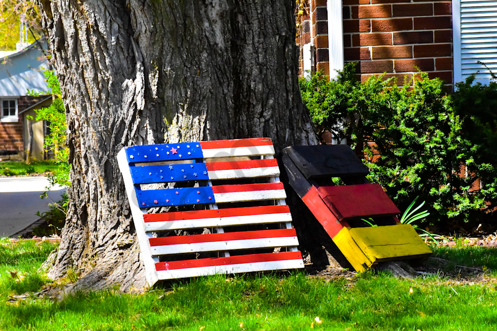 Full Year 2023 922 Photography Art | Photos By Regan