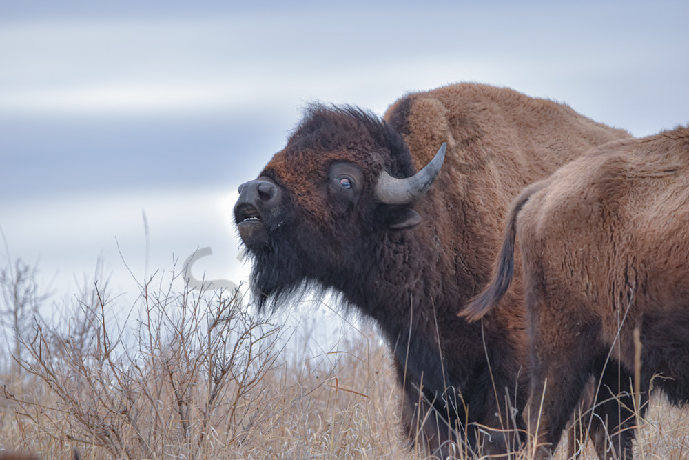 Full Year 2023 1245 Photography Art | Photos By Regan