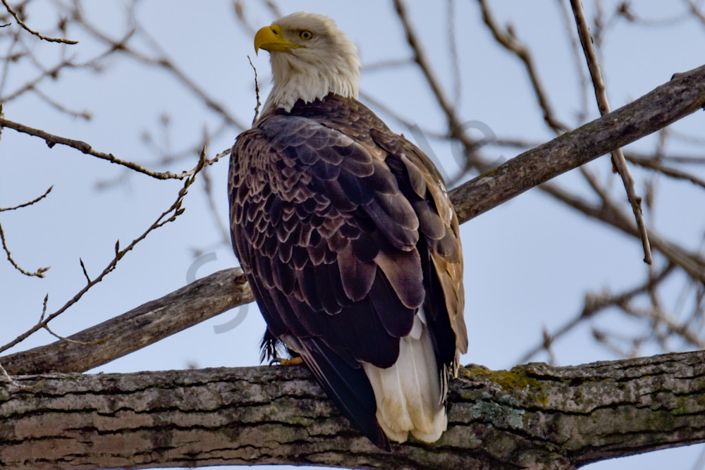 January 2024 19 Photography Art | Photos By Regan