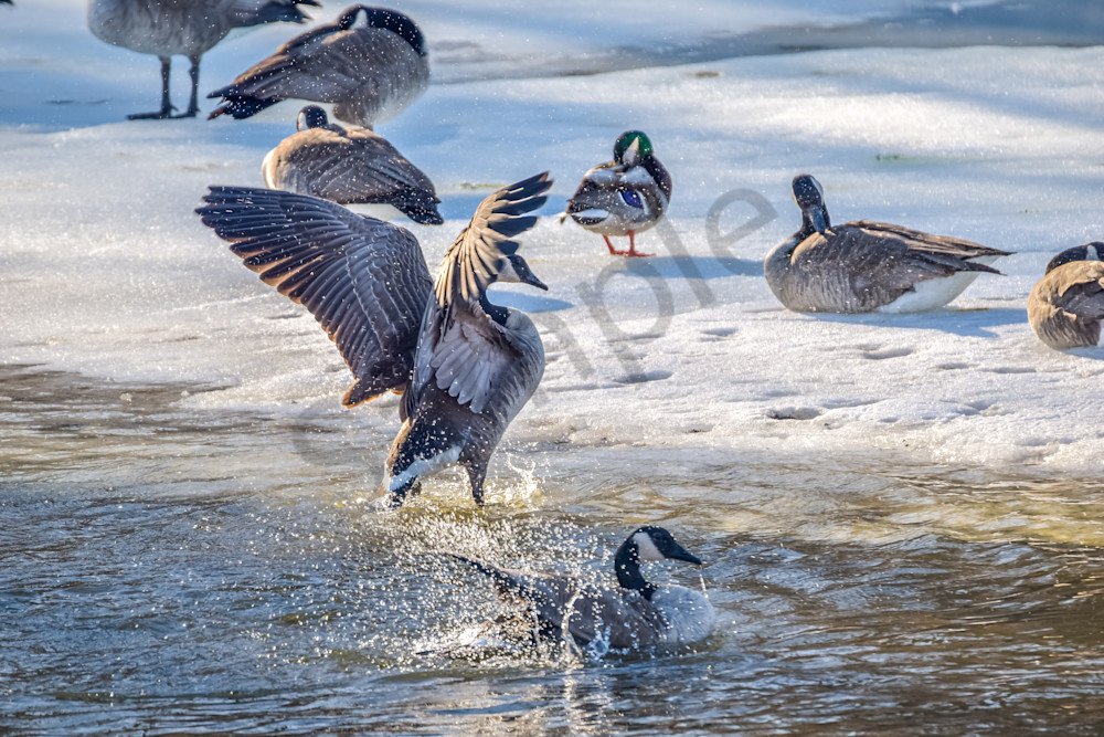 January 2024 10 Photography Art | Photos By Regan