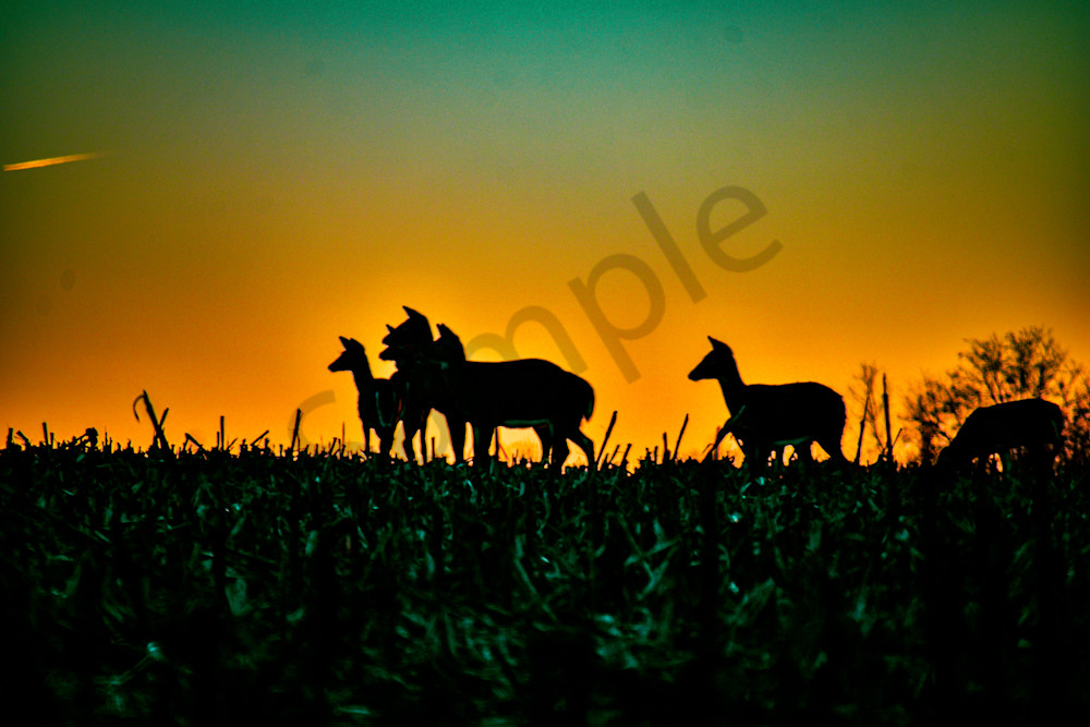 January 2024 83 Photography Art | Photos By Regan