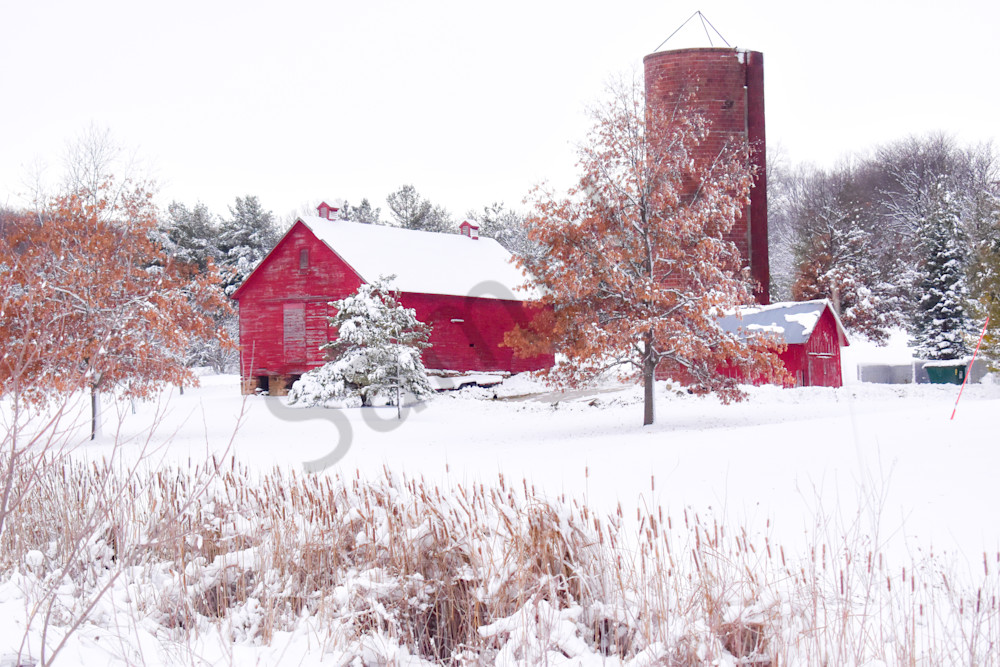 January 2024 66 Photography Art | Photos By Regan