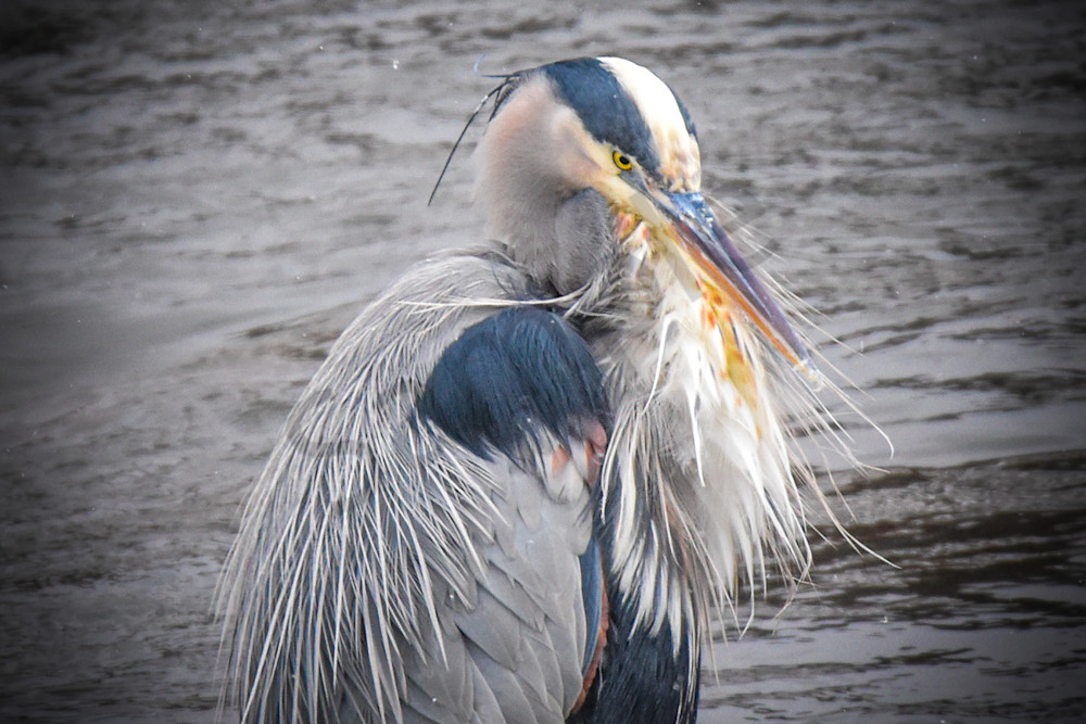 January 2025 110 Photography Art | Photos By Regan