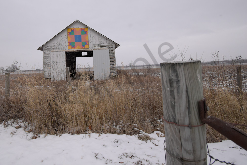 January 2025 119 Photography Art | Photos By Regan