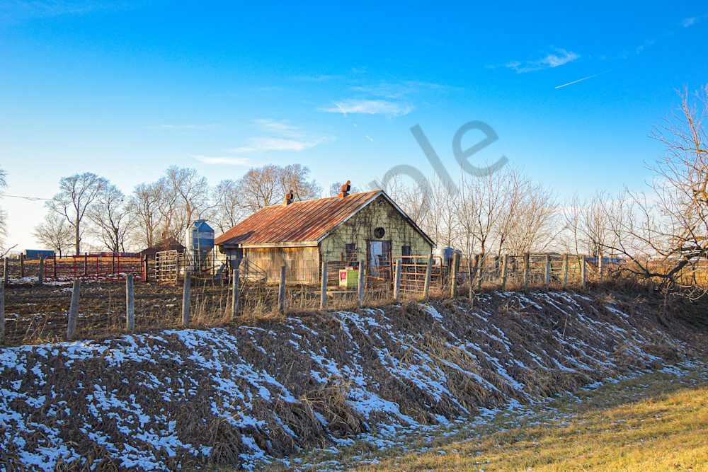 January 2025 134 Photography Art | Photos By Regan