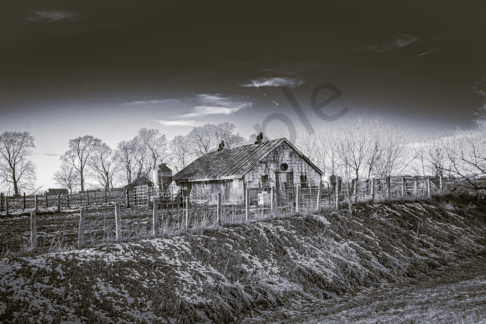 January 2025 137 Photography Art | Photos By Regan