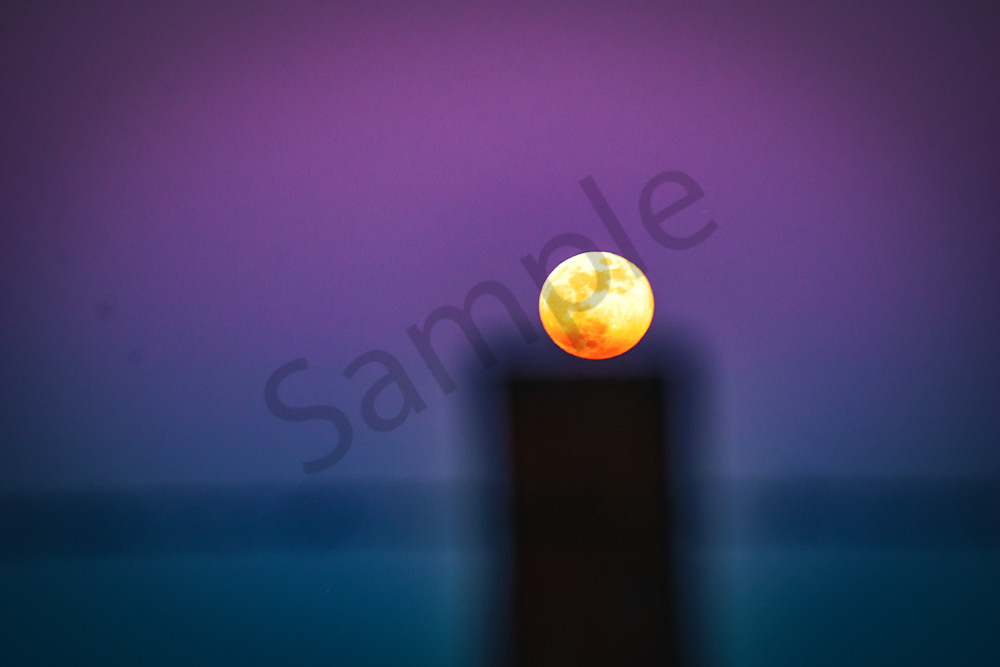 January 2025 198 Photography Art | Photos By Regan