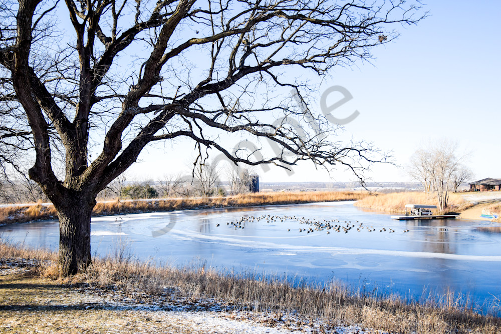 January 2025 297 Photography Art | Photos By Regan