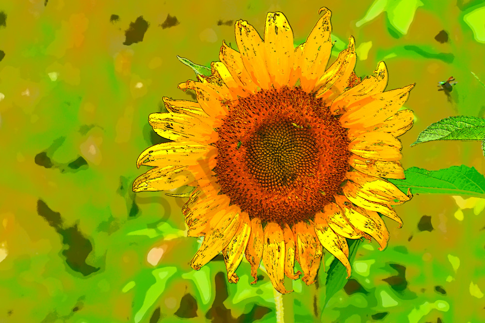 July 2024 4 Photography Art | Photos By Regan