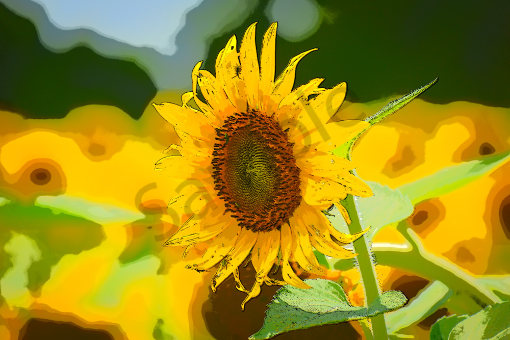 July 2024 7 Photography Art | Photos By Regan