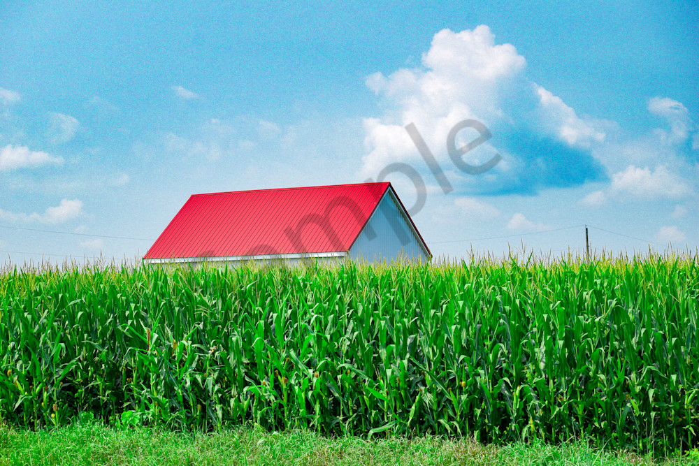 July 2024 168 Photography Art | Photos By Regan