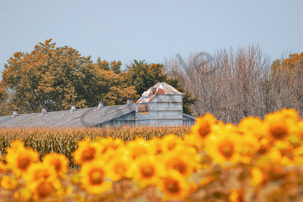 July 2024 128 Photography Art | Photos By Regan