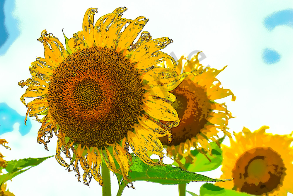 July 2024 31 Photography Art | Photos By Regan