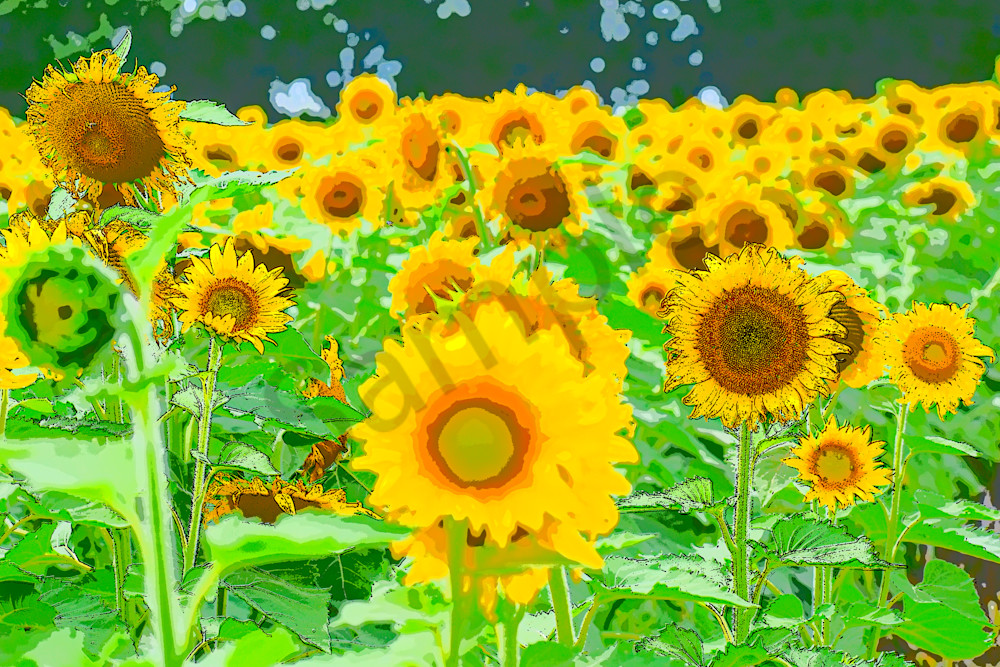 July 2024 45 Photography Art | Photos By Regan