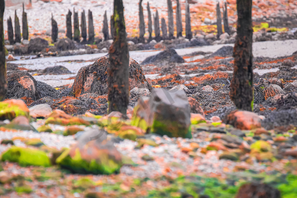 July 2025 352 Photography Art | Photos By Regan