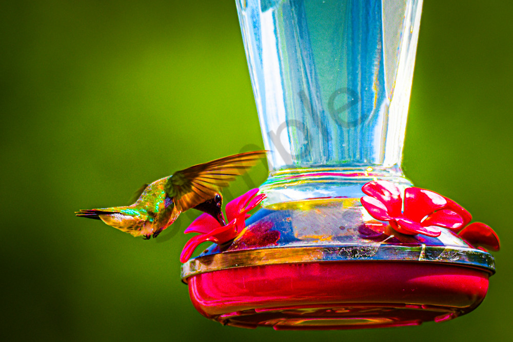 July 2025 660 Photography Art | Photos By Regan