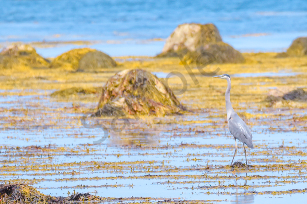 July 2025 358 Photography Art | Photos By Regan