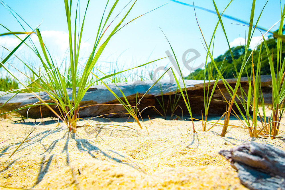 July 2025 312 Photography Art | Photos By Regan