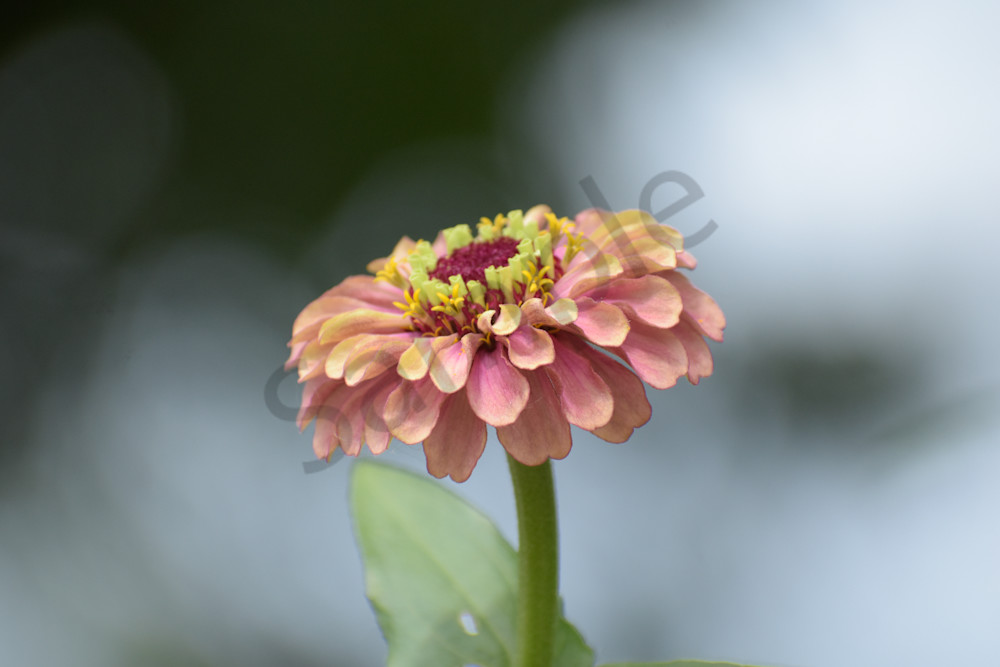 July 2025 1025 Photography Art | Photos By Regan