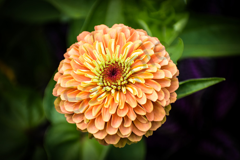 July 2025 1042 Photography Art | Photos By Regan