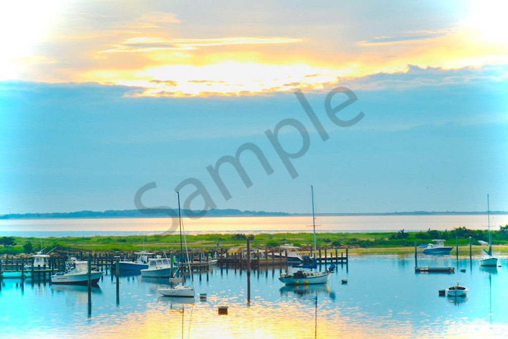 June 2024 1 Photography Art | Photos By Regan