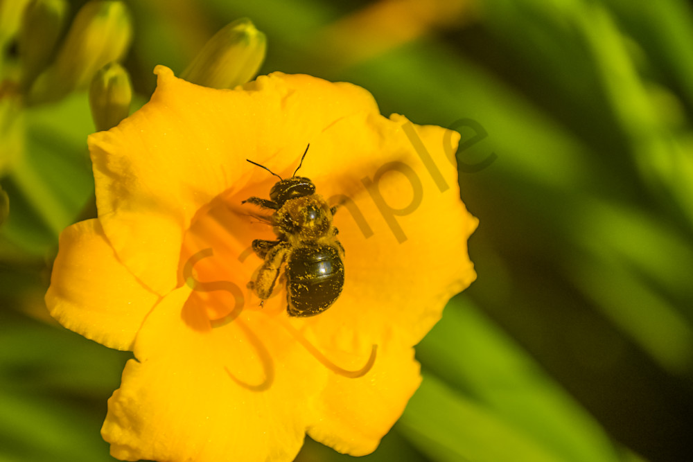 June 2024 142 Photography Art | Photos By Regan