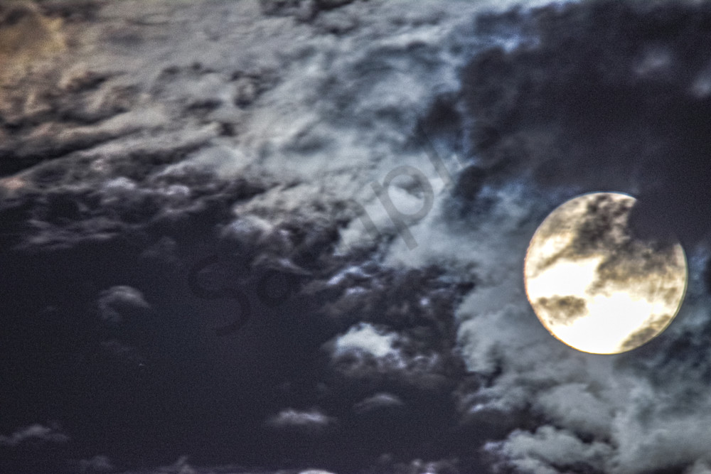 June 2024 182 Photography Art | Photos By Regan