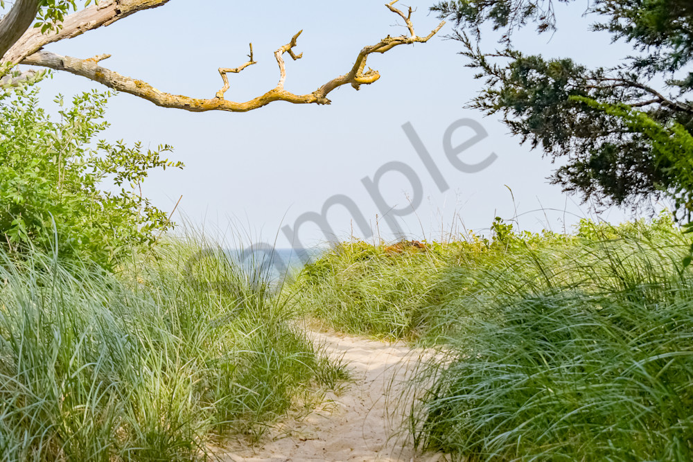 June 2024 250 Photography Art | Photos By Regan