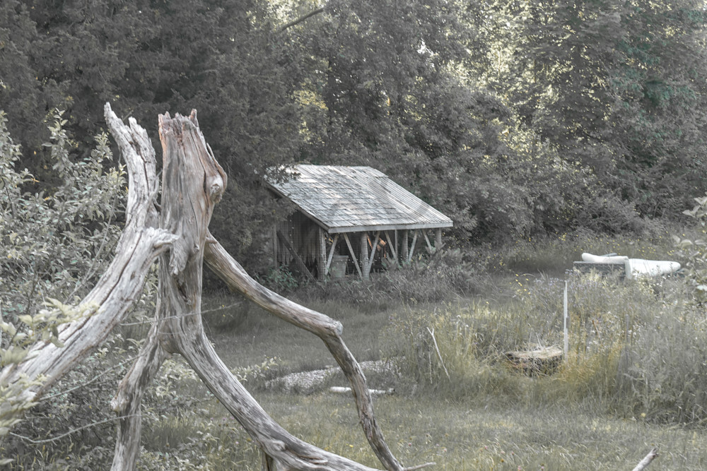 June 2024 328 Photography Art | Photos By Regan