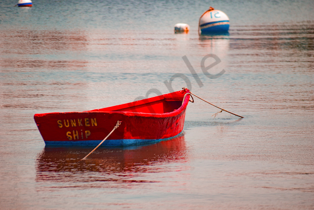 June 2024 361 Photography Art | Photos By Regan