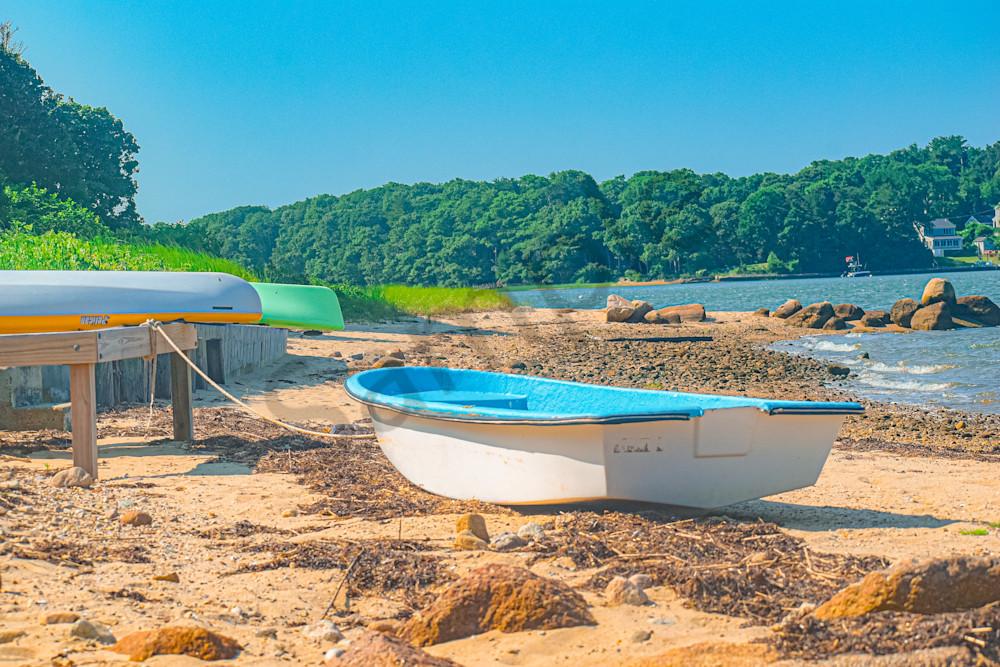 June 2024 313 Photography Art | Photos By Regan