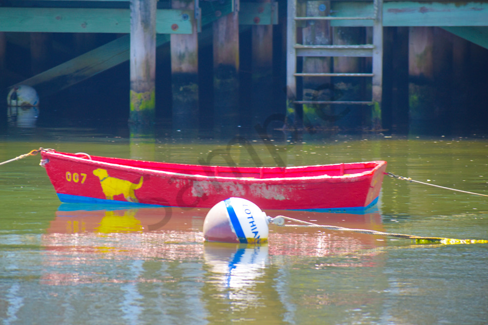 June 2024 367 Photography Art | Photos By Regan