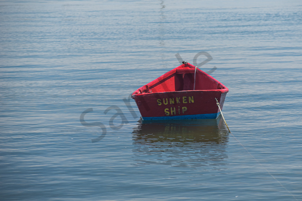 June 2024 375 Photography Art | Photos By Regan